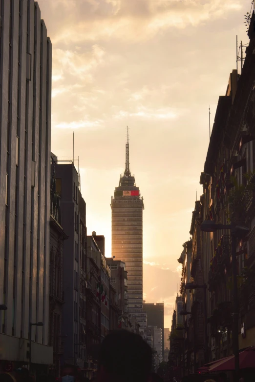 tall buildings on the opposite side of a city