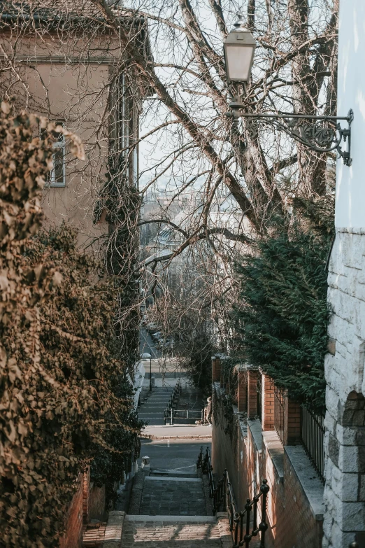 stairs lead up to a building near some trees