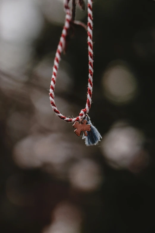 a rope with a horse pin attached to it