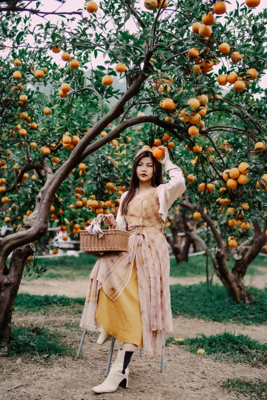 a woman in a dress standing next to an orange tree