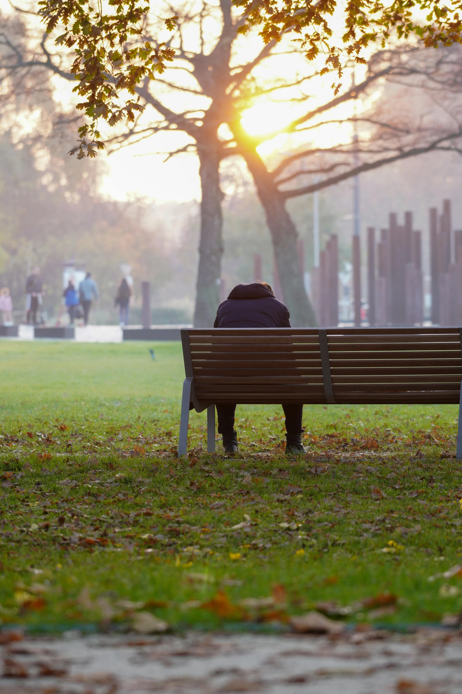 a man sitting on a bench in a park