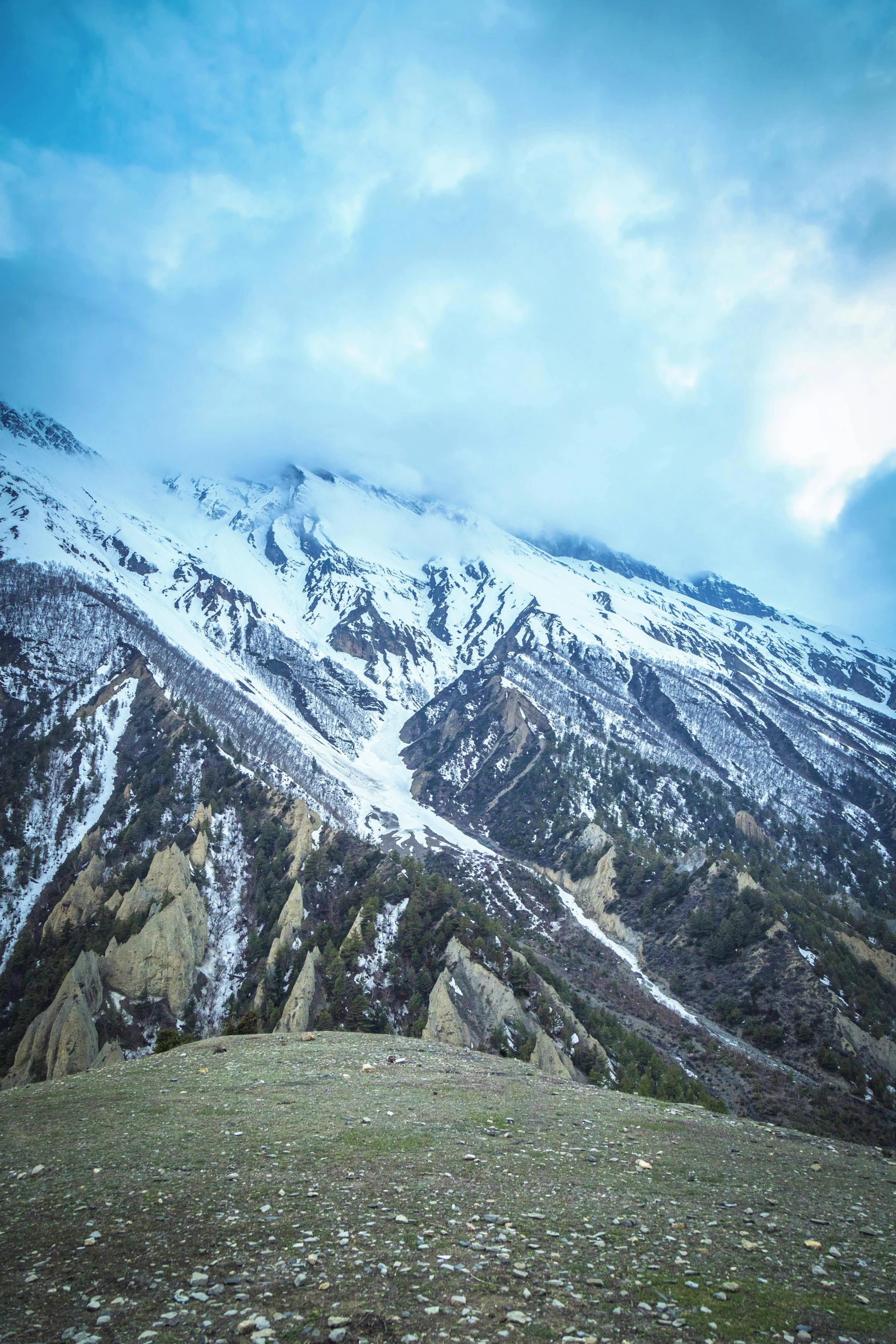 mountains covered in snow and grass with trees