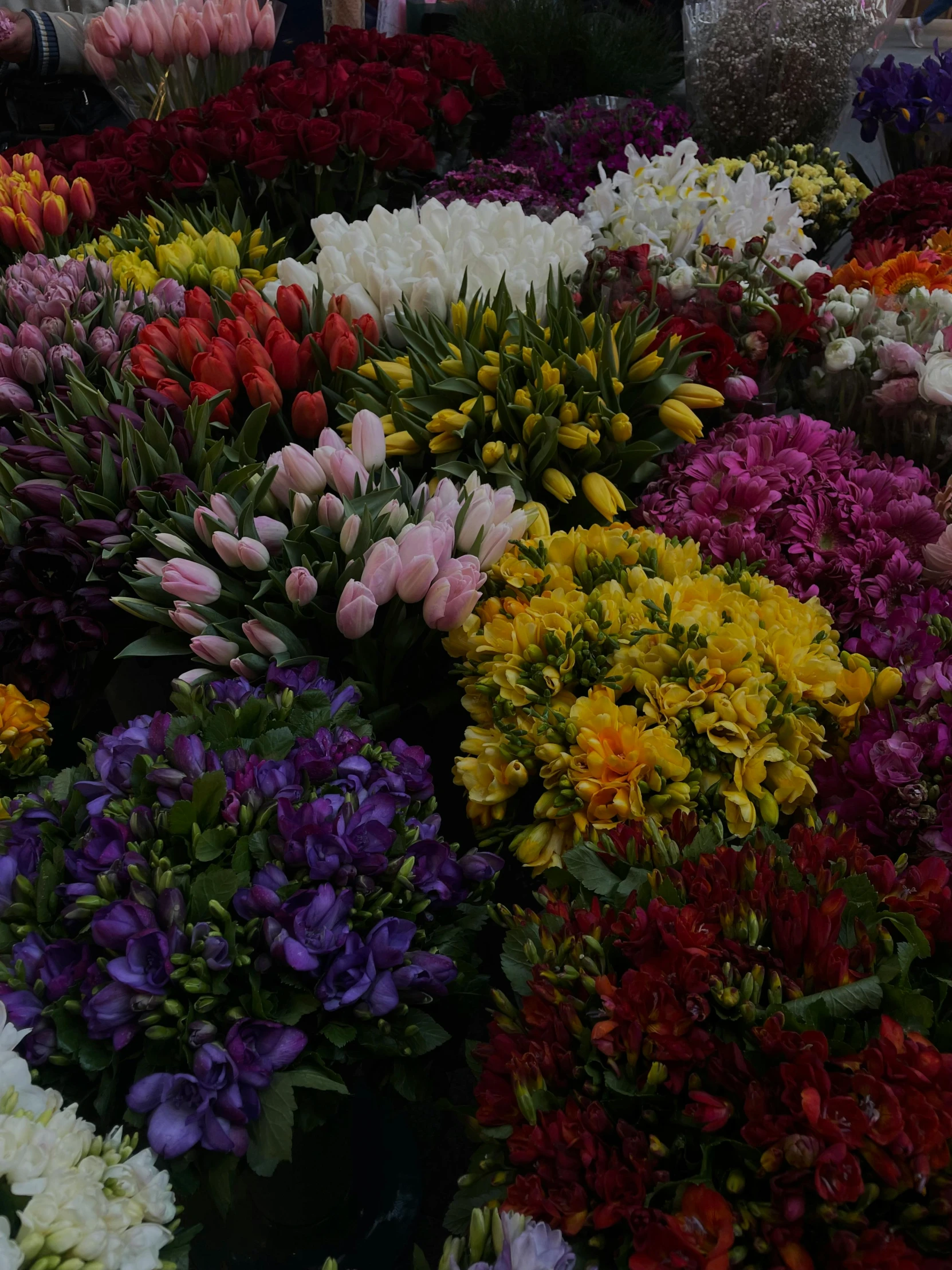 there are many large flowers laid out in the middle