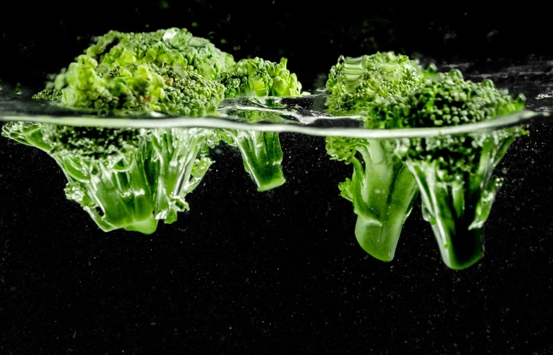 green vegetable on black background being reflected in water