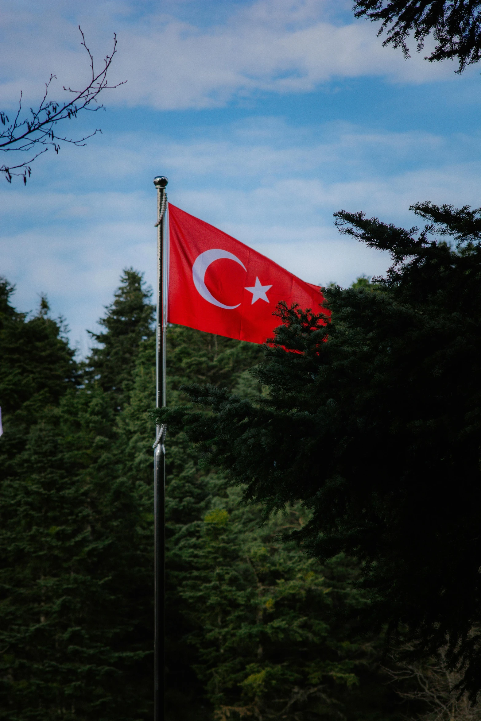 the turkish flag is flying in front of a forest