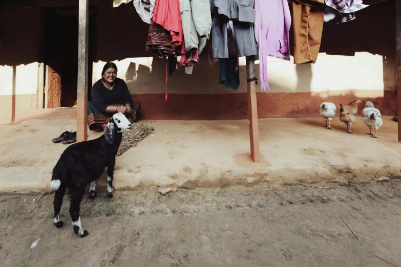 a woman sitting on a porch next to her house with some animals