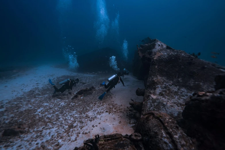 people scubas and divers swimming in the sea