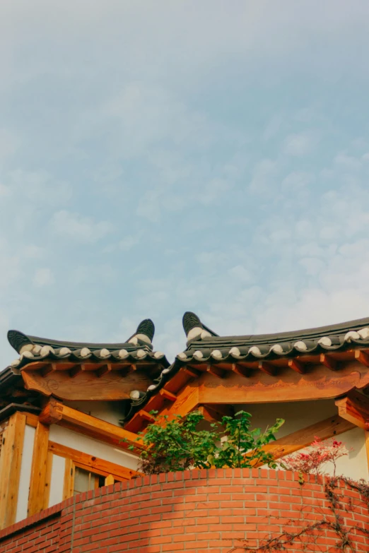 two birds sit atop an oriental building