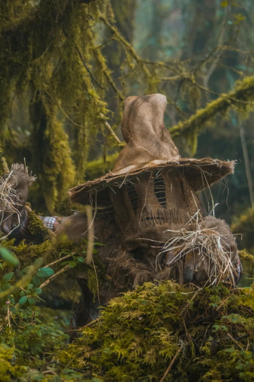 a hat with the hood is covered by moss