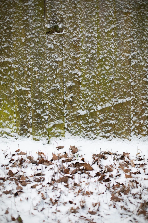 a yellow fire hydrant sitting on top of a snow covered field