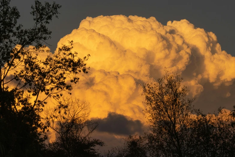 a large cloud that is hovering over trees