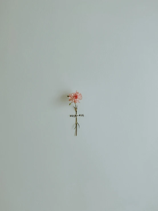 a single flower on the back of a silver stem