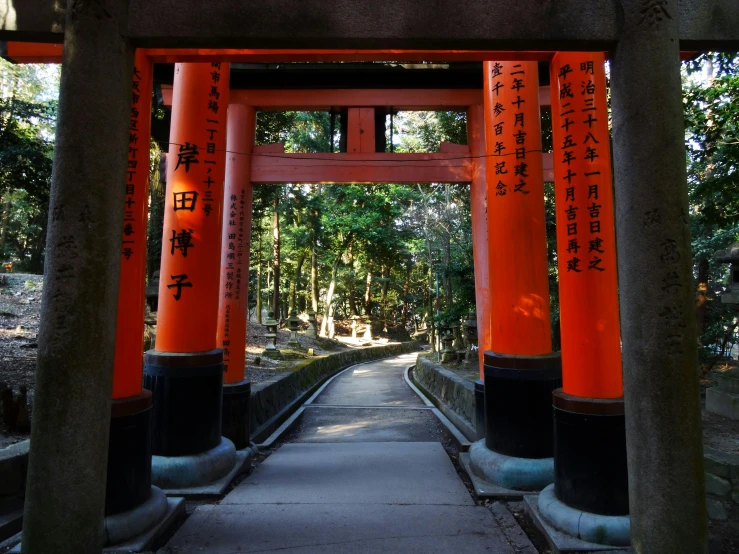 there are many large orange poles in this area