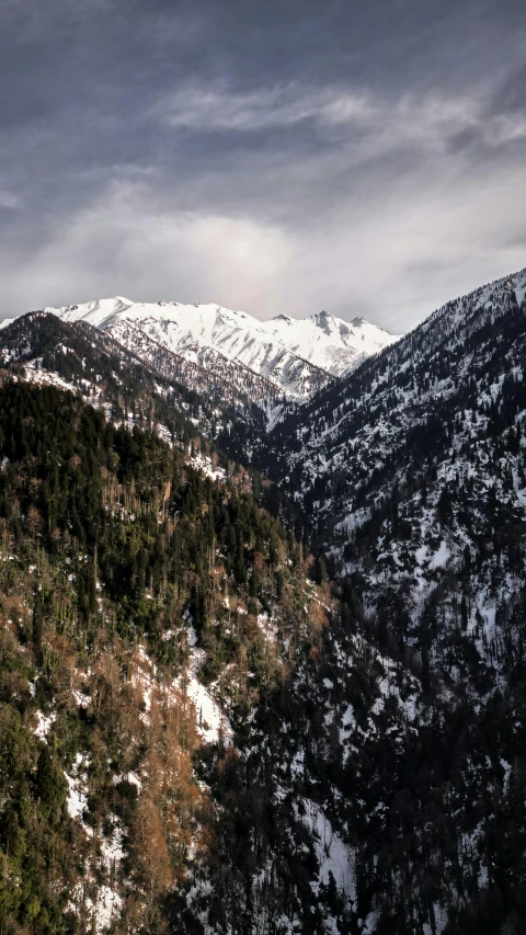 a snowy mountain range in the distance, with some trees around