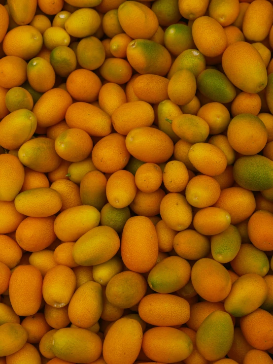 this is a close up s of oranges and lemons