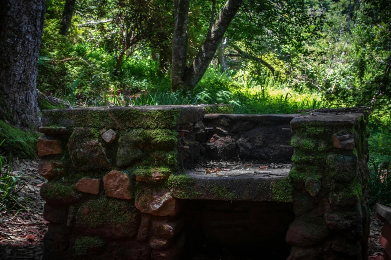 a bench with moss growing all over it and a tree in the background