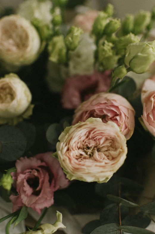 large group of pink flowers arranged in a bouquet