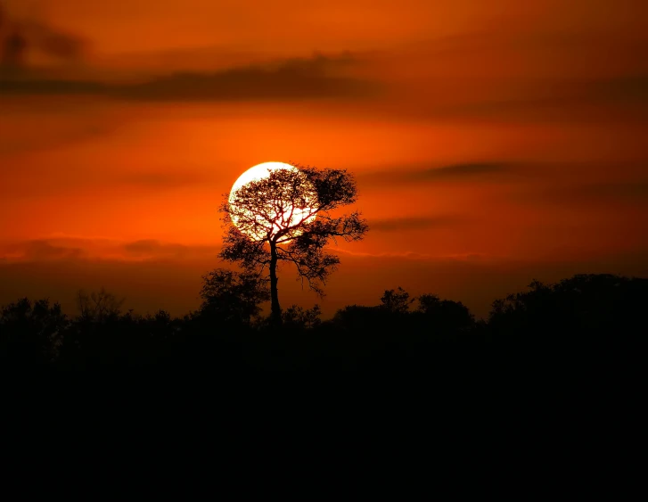 the sun sets over a silhouette of trees