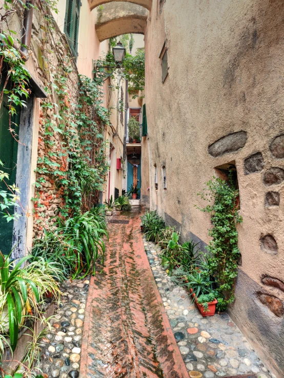 a walkway next to a building lined with green plants