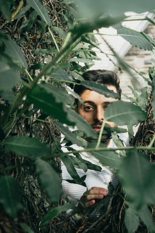 a man is hiding among leaves in a wooded area
