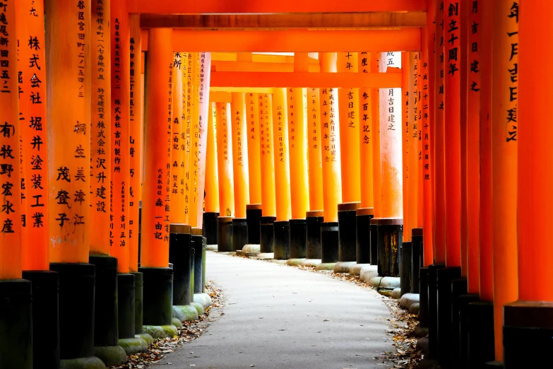 a long path lined with lots of orange columns