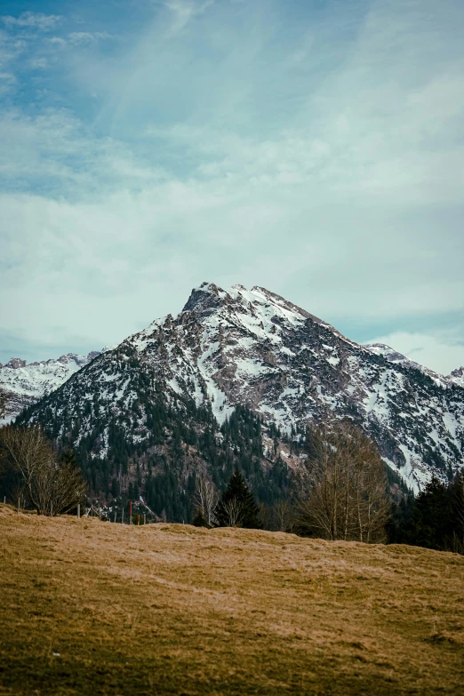 the mountainside view from a field with cows