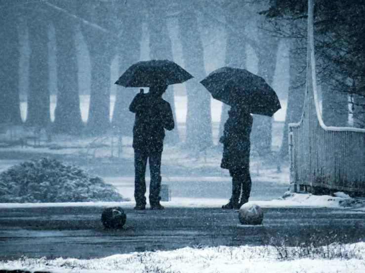 two people holding umbrellas standing under a tree in a snowstorm