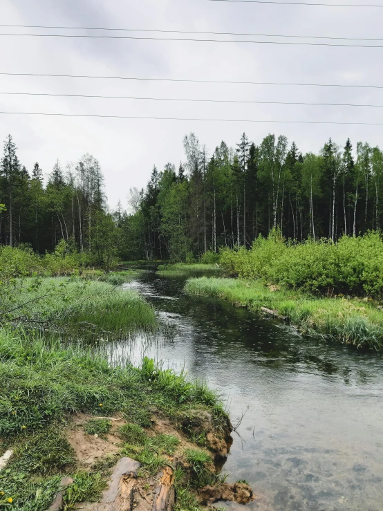 the ground is covered with grass and trees and a body of water