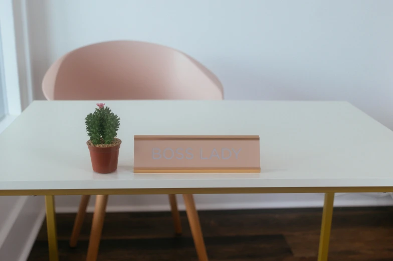 a small potted plant sitting on top of a table