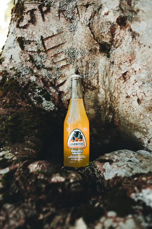 a bottle of mountain dew sits in a cave