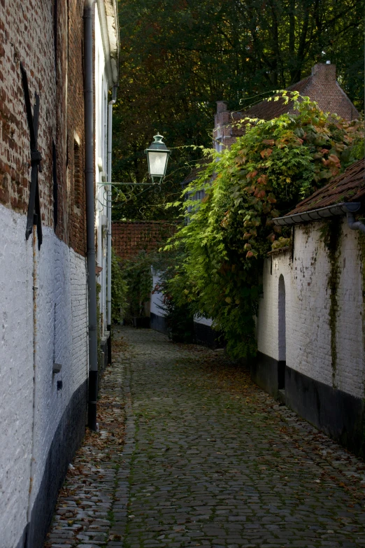 an empty brick road going through a residential area