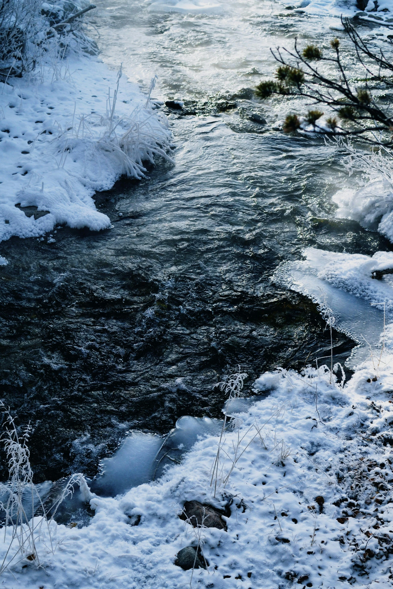 a river with water, snow and brush