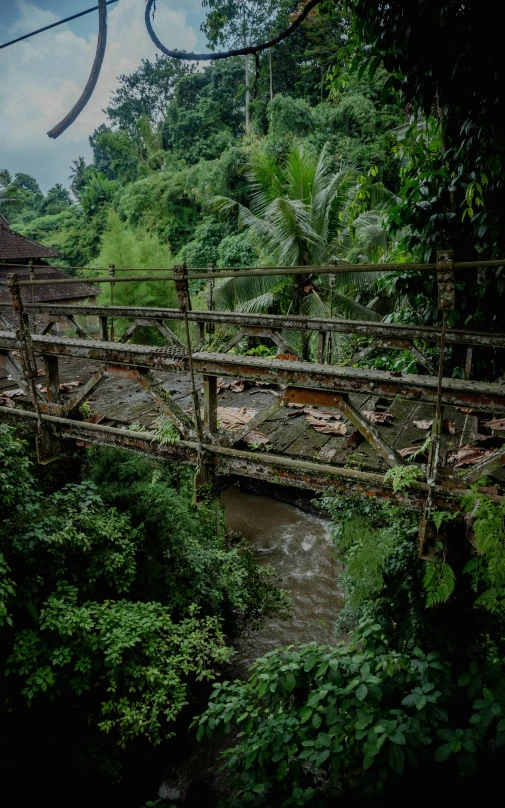 a man on a rope bridge that spans into a creek