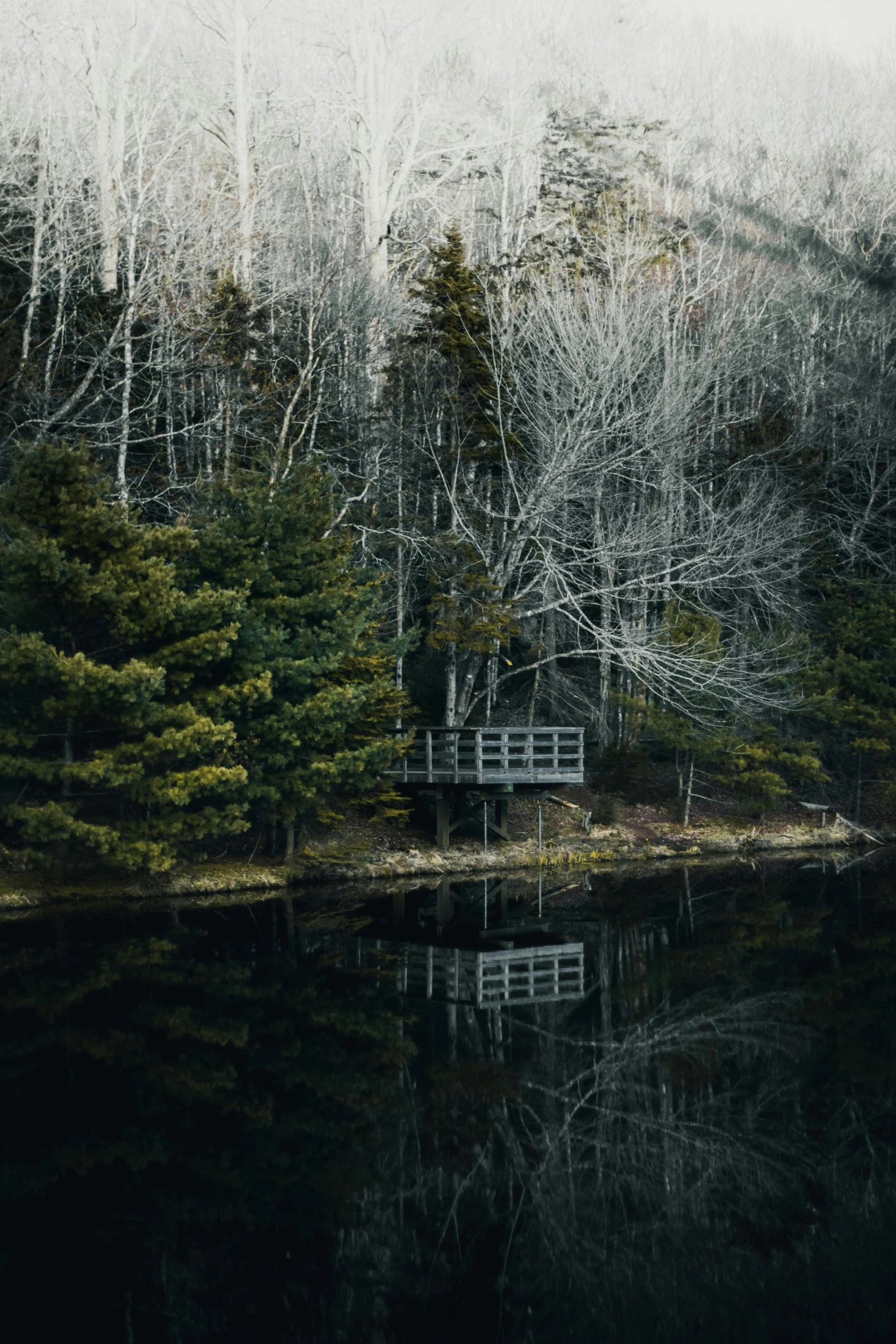 a lake surrounded by woods on a foggy day