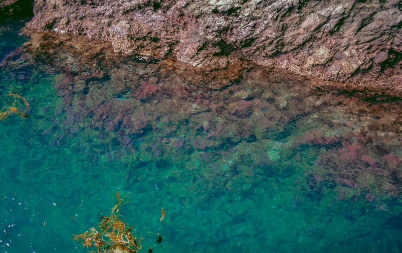 the water is clear and calm for us to see