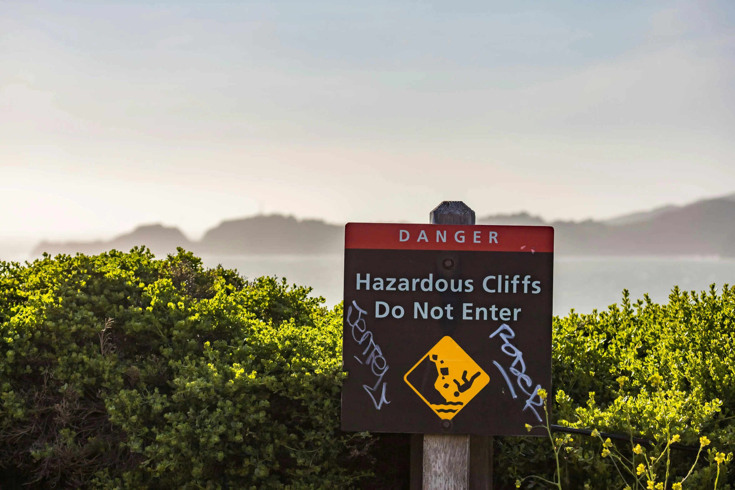 a sign in front of some shrubbery on a sunny day