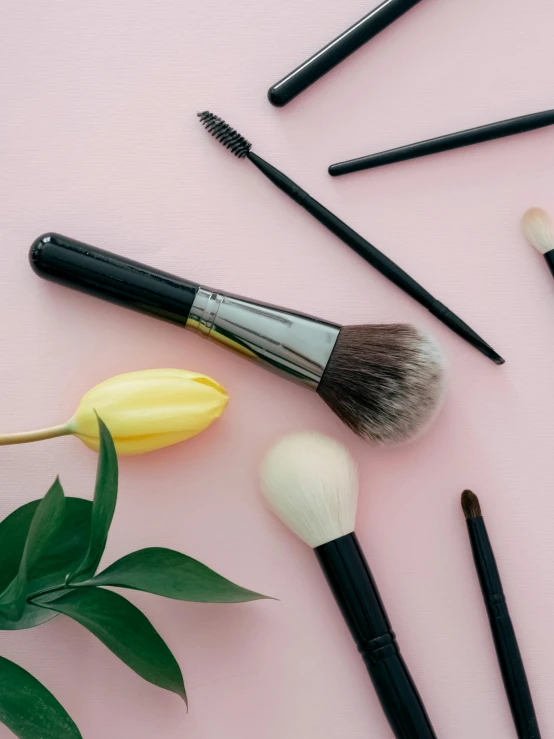 makeup products arranged on pink surface near leaves