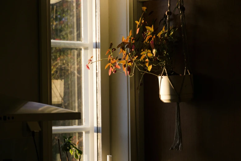 a potted plant sits on the ledge next to a window