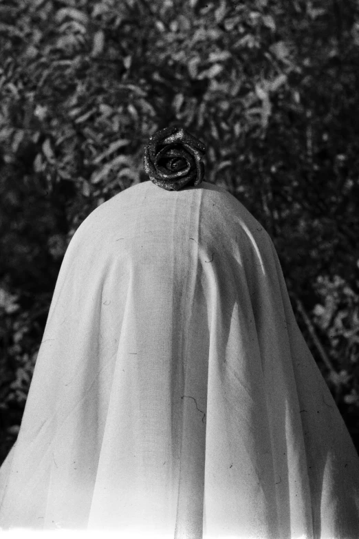 a white cloak covering a face with a small flower