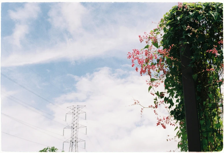 a clock in the middle of a picture with sky and clouds in the background