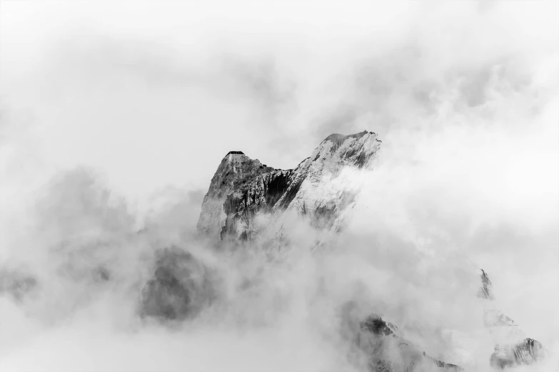 the clouds are low on the mountain, creating large, twisted trees