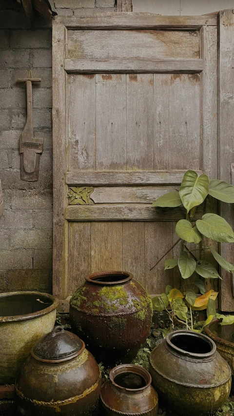 an outdoor po with potted plants and old door