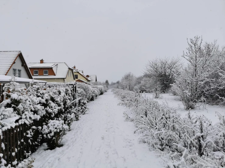 snow blankets the street next to houses in the suburbs