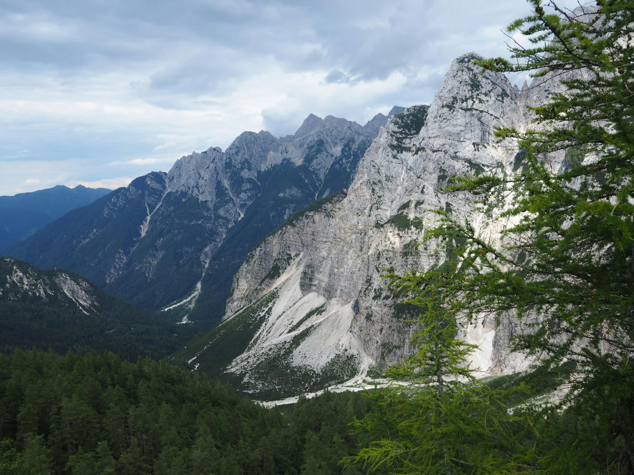 a mountain side forest area with some mountains in the background