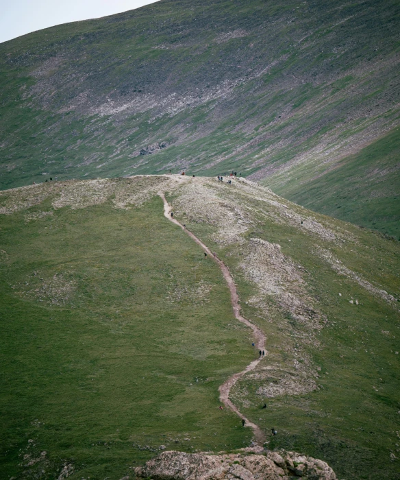 a grassy hillside with many rocks on it