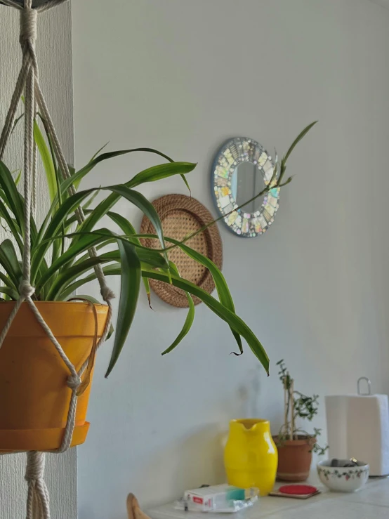 a living room with two hanging planters and round mirrors