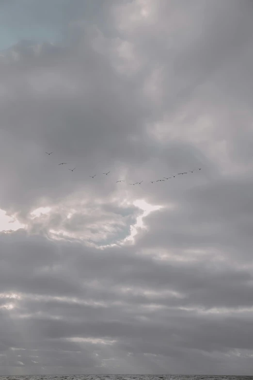 a number of people in a big field with some kites