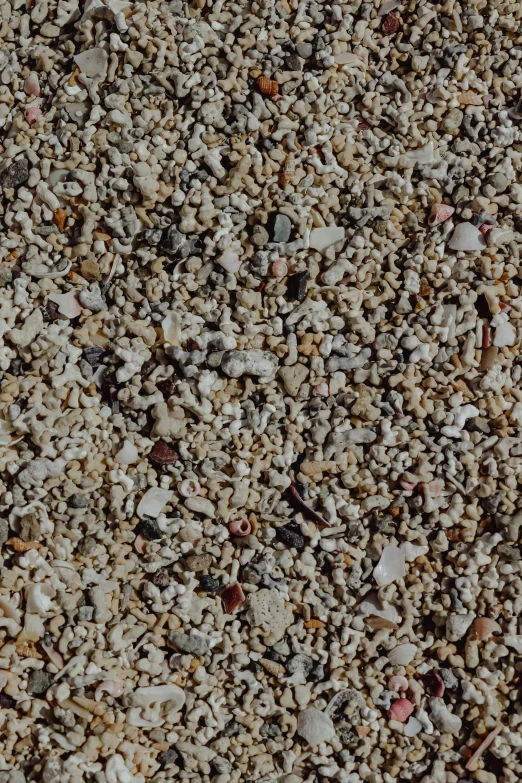 small rocks on the ground and gravel, all over the ground