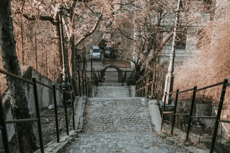 a staircase and railing are featured with the tree in the background