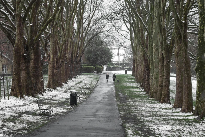 two people walk down the pathway in front of trees in winter